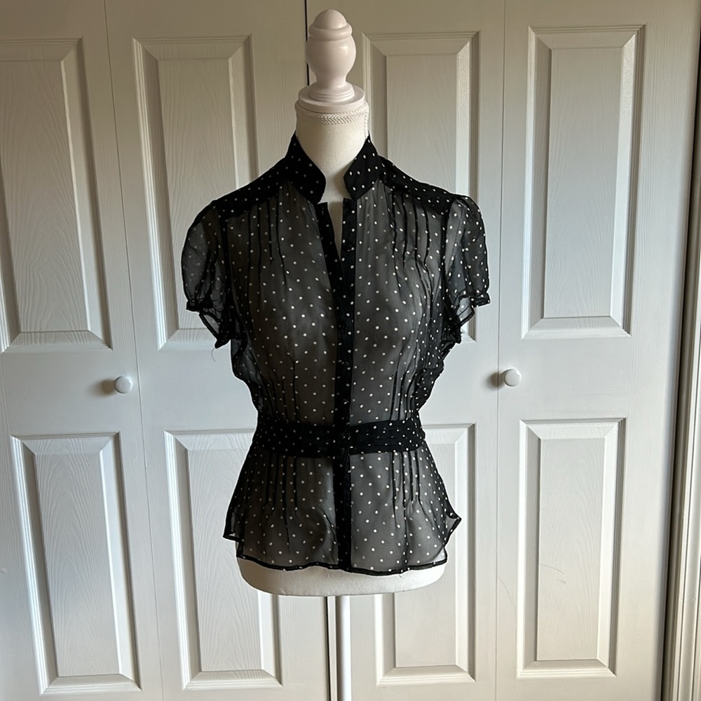 Sheer Polka Dot Blouse